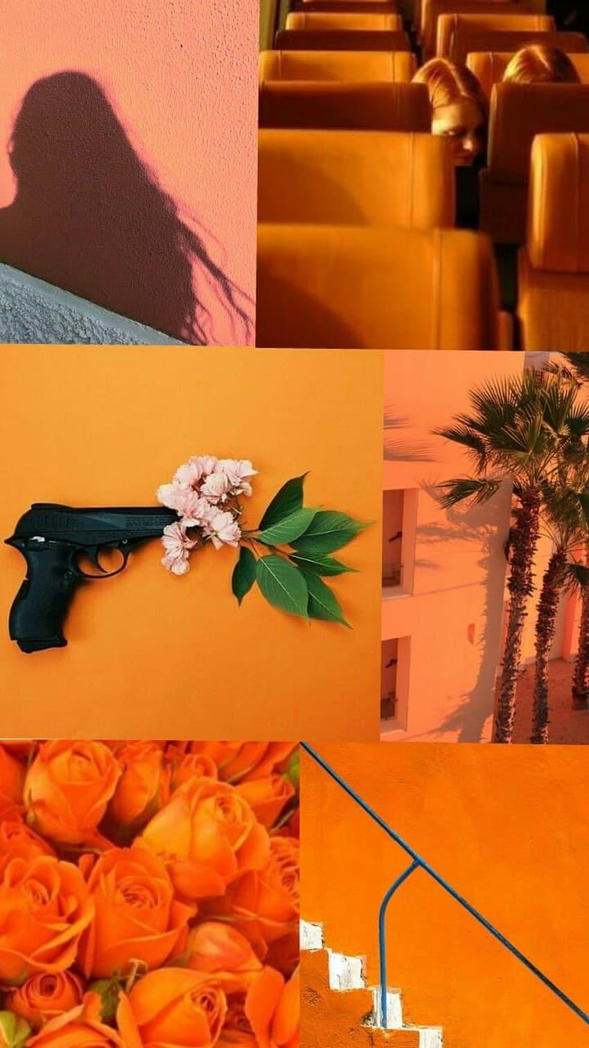 Estetica, Laranja e Orange, collage estetici di rose Sfondo del telefono HD