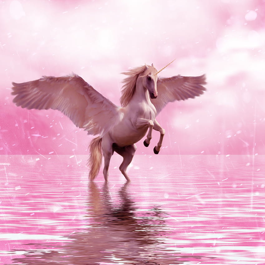 3000x3000 unicorn, wings, horse, fantasy, unicorn rider HD phone wallpaper