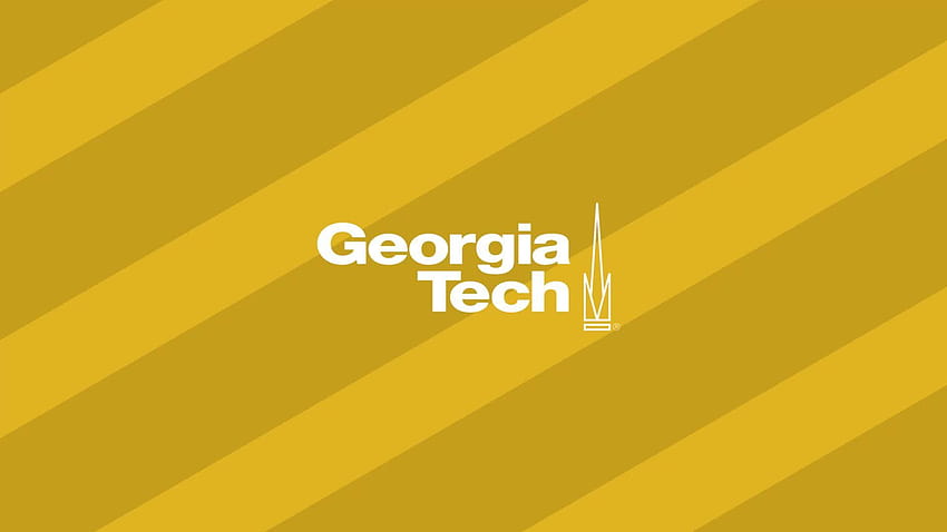 Comment le sphinx voit, plane et suit les fleurs dans le noir, Georgia Tech Fond d'écran HD
