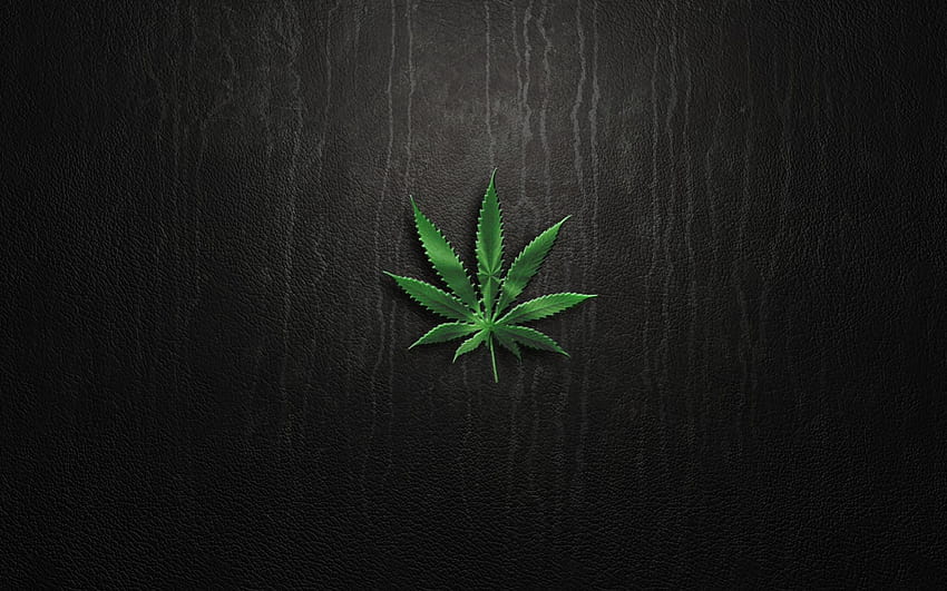 Rośliny marihuany tępe, czarna marihuana Tapeta HD