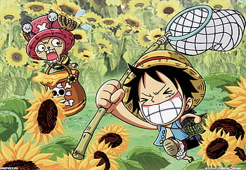 Luffy, Zoro, Lie Busanji, Nami, Chopper, Robin, and Merry HD One Piece  Fighting Path Wallpapers, HD Wallpapers