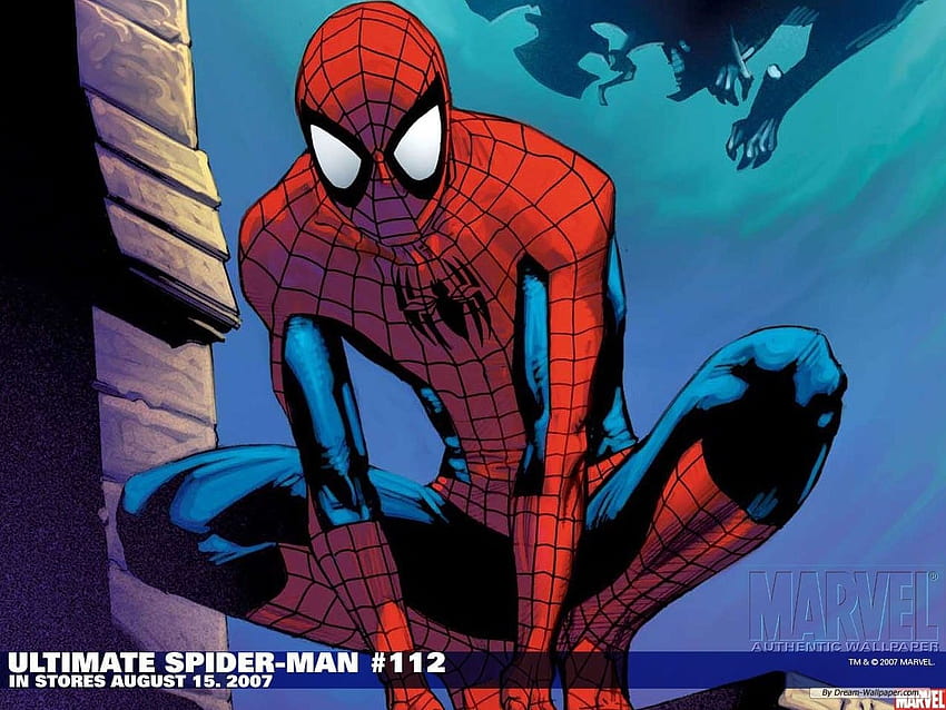 Spiderman Cartoon Best, spider man cartoon HD wallpaper | Pxfuel