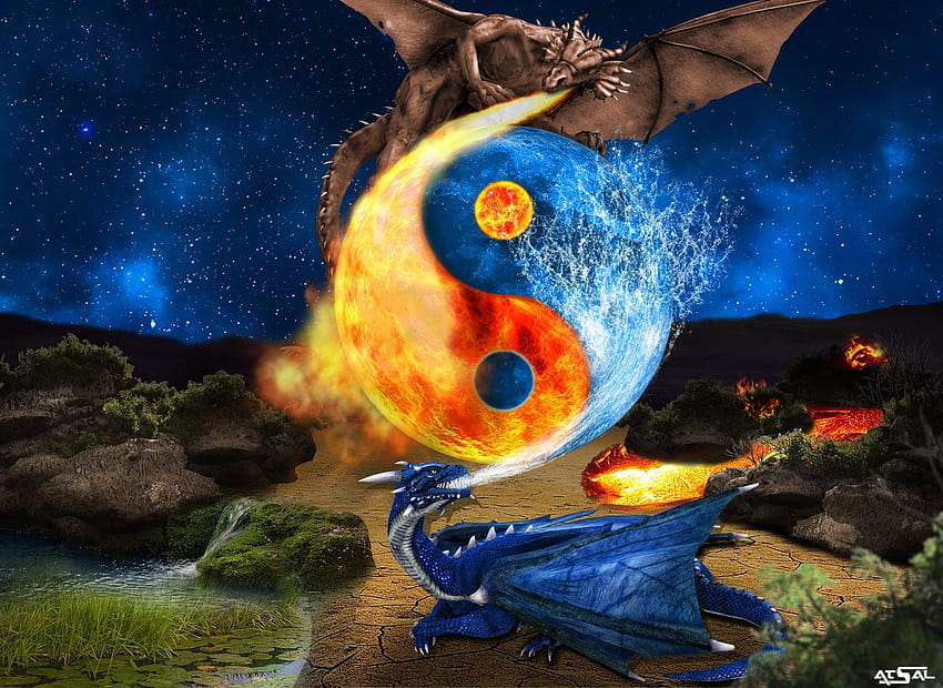 Ying Yang Fire Water Dragons by AtsaL78 [1280x933 HD wallpaper