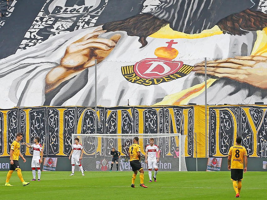 Bullenkopf, Dynamo Dresden HD-Hintergrundbild