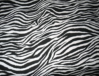 zebra tumblr backgrounds