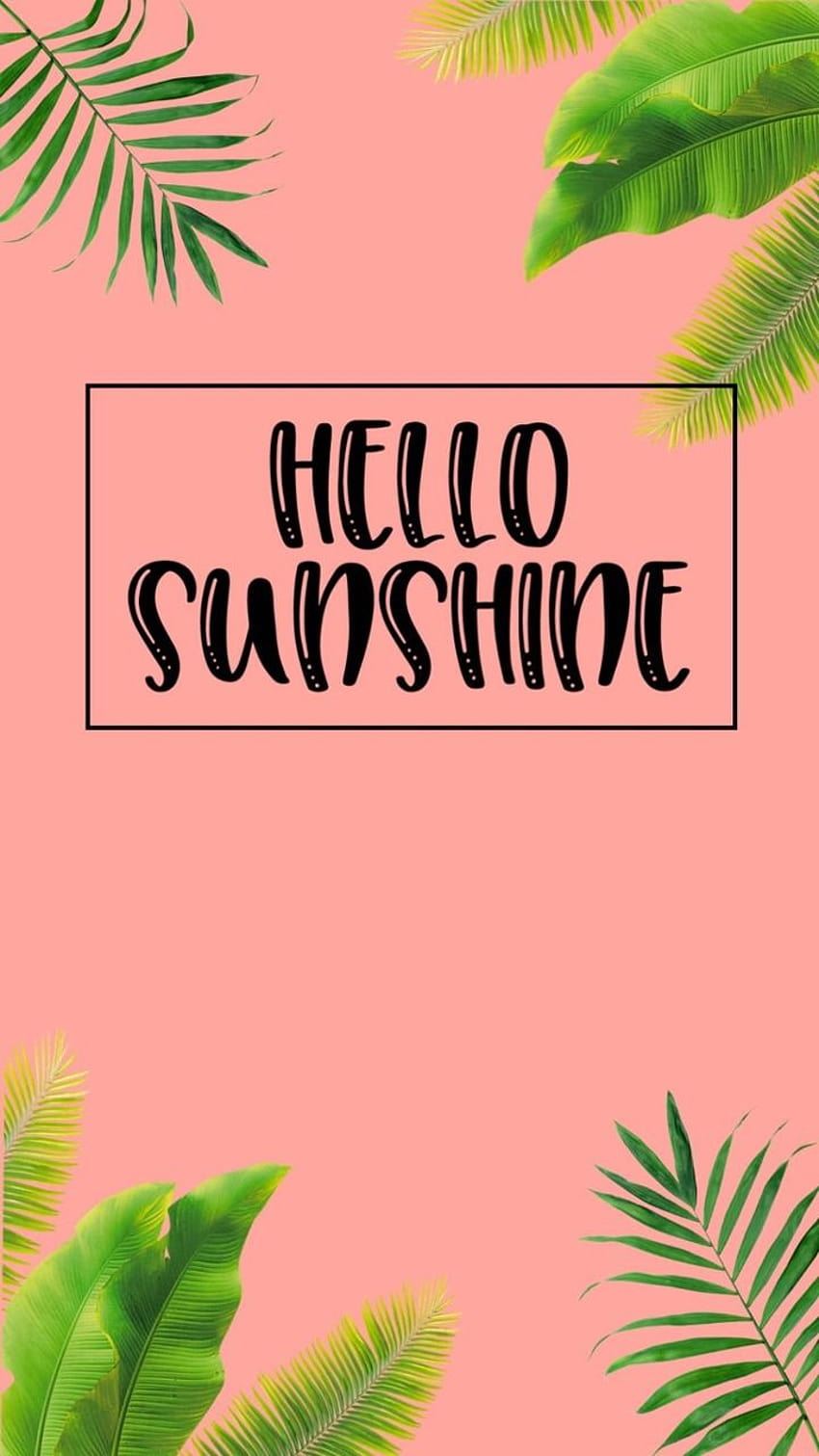 Sunshine discovered by @sofi_w, hello sunshine HD phone wallpaper | Pxfuel