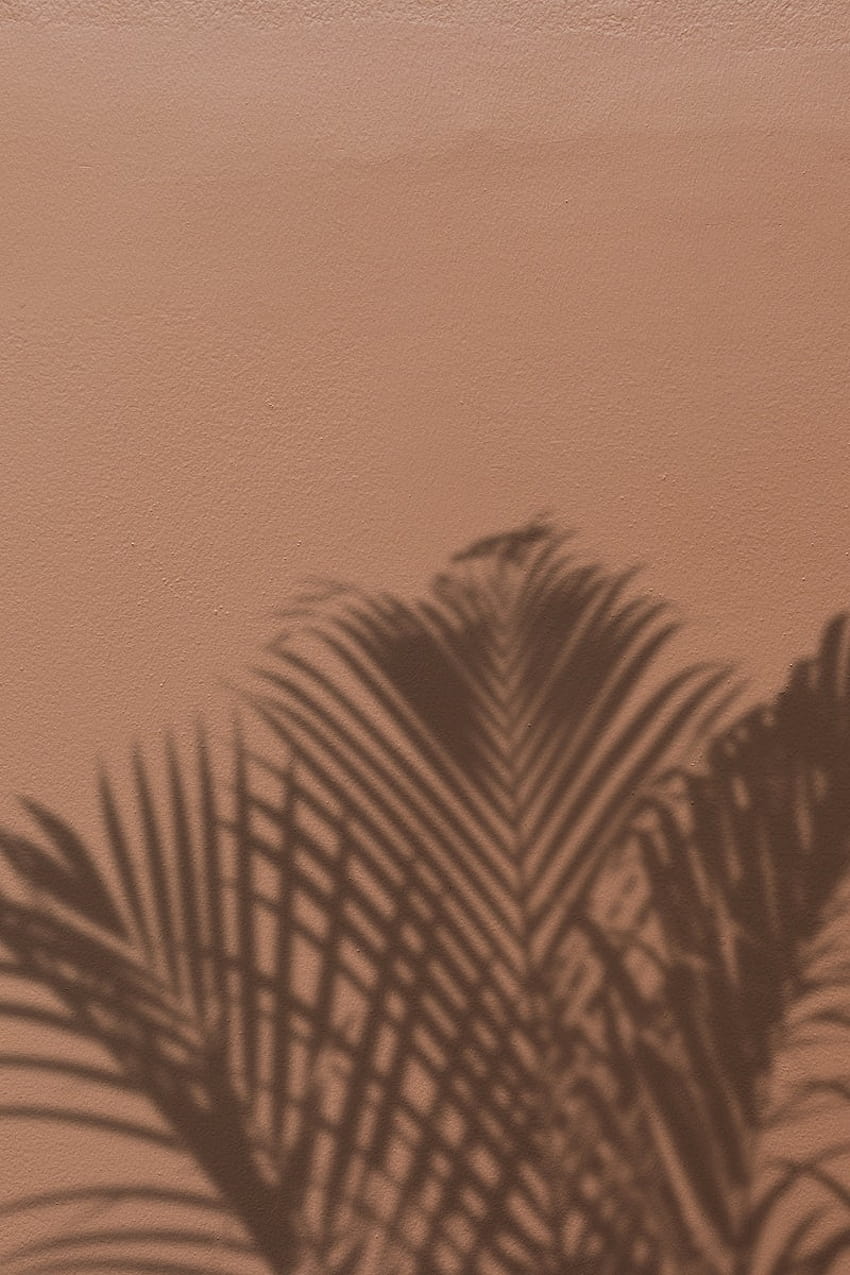 Brown Aesthetic, aesthetic vintage brown HD phone wallpaper