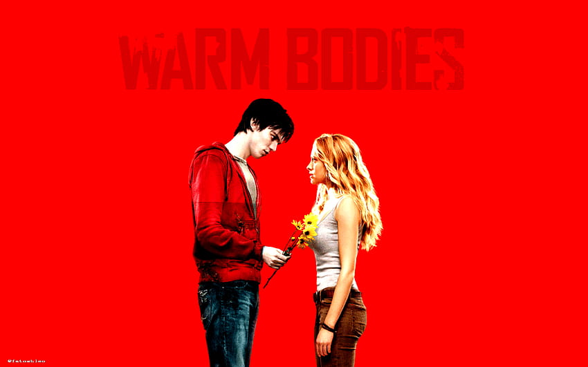 Warm Bodies Movie HD wallpaper