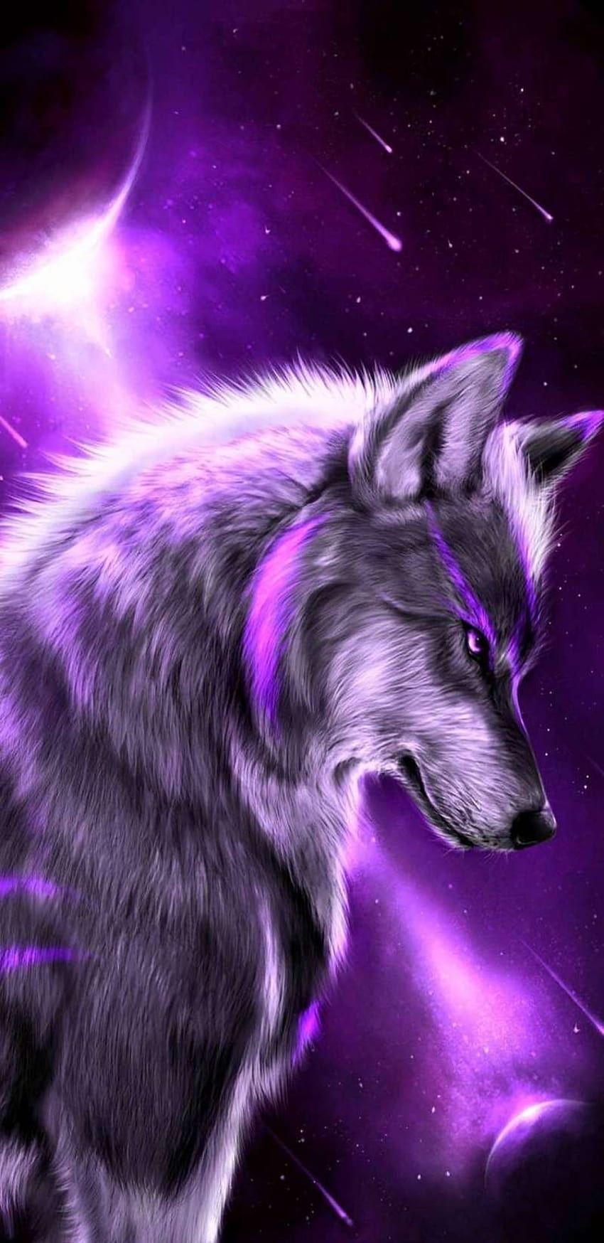 31 + Top Cool Wolf, elemental wolf HD phone wallpaper