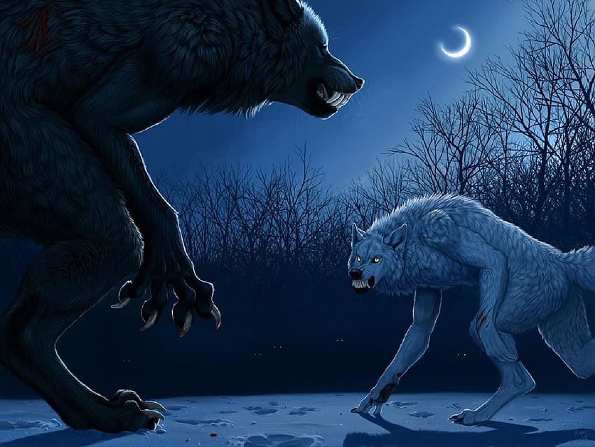 Wilkołak i tła, walka wilkołaków Tapeta HD