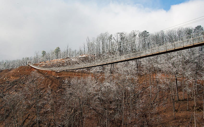 Jembatan Suspensi Pejalan Kaki Terpanjang di A.S. Memiliki rel kereta api pegunungan yang berasap Wallpaper HD