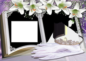 Album wedding frame backgrounds HD wallpapers | Pxfuel