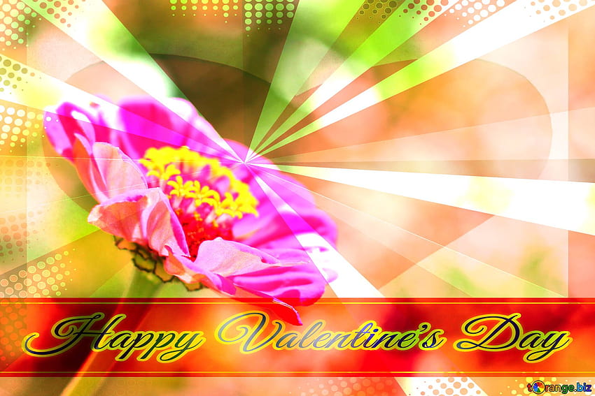 Zinnia-Blume auf dem . Grußkarten-Hintergründe im Retro-Stil. Schriftzug „Happy Valentine's Day“ auf CC HD-Hintergrundbild