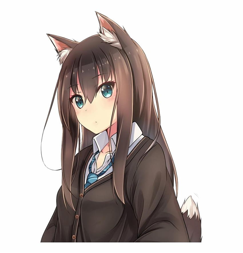 Wolf Cute Anime Girls , Png, beautiful anime girl student HD phone wallpaper  | Pxfuel