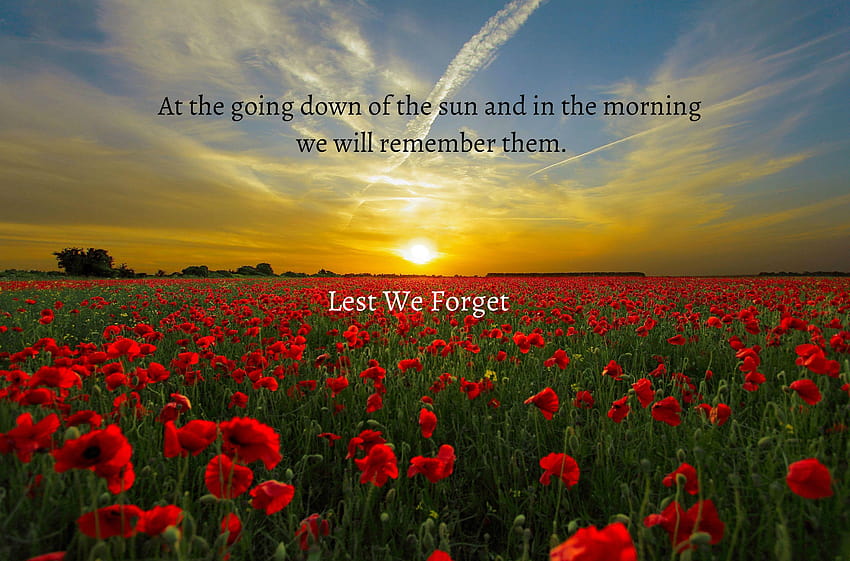 Anzac Day and Backgrounds HD wallpaper