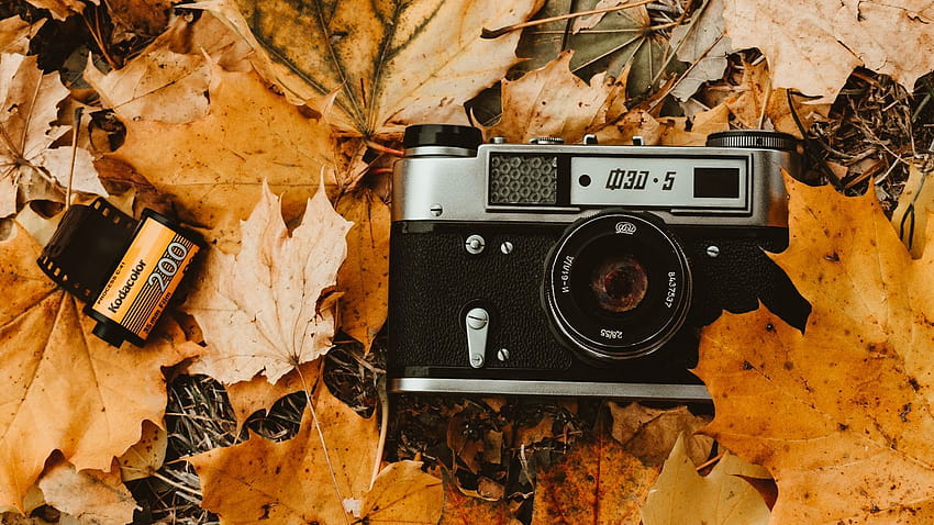 1366x768 camera, autumn, foliage, retro, vintage laptop HD wallpaper ...