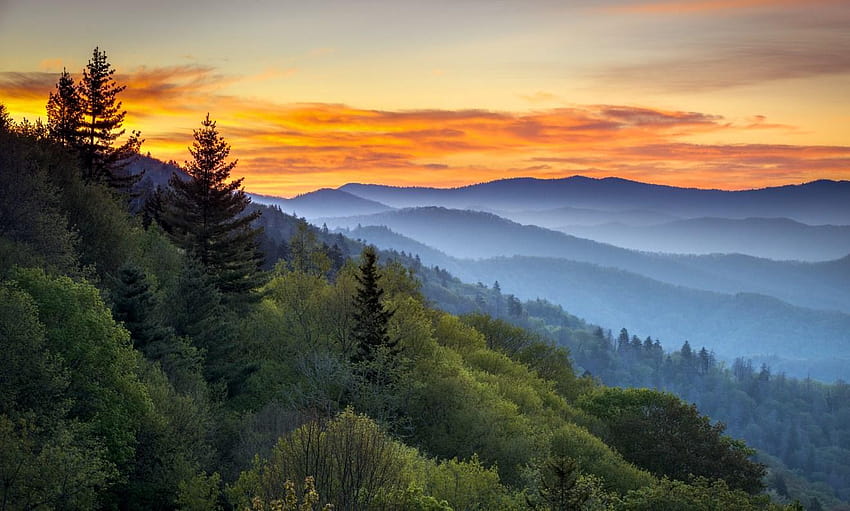 Tennessee Travellers Guide, Sonnenaufgang in den Great Smoky Mountains HD-Hintergrundbild
