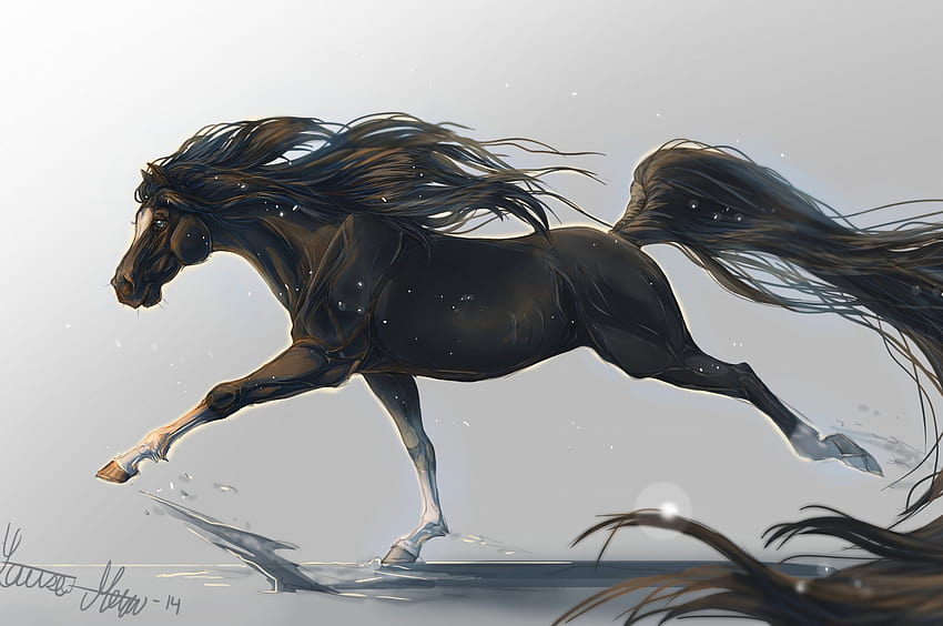 horse hooves mane galloping black [3840x2160] for your , Mobile & Tablet HD wallpaper