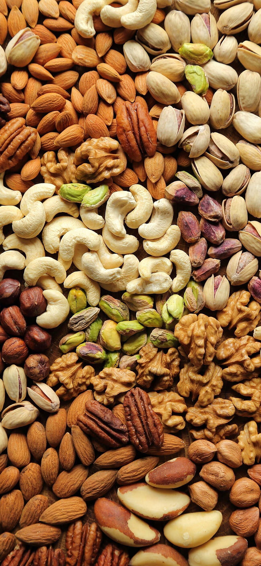 Dry Fruits...., dry seeds HD phone wallpaper