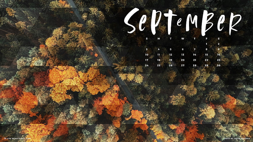 Hello September! able Calendar bie. HD wallpaper | Pxfuel