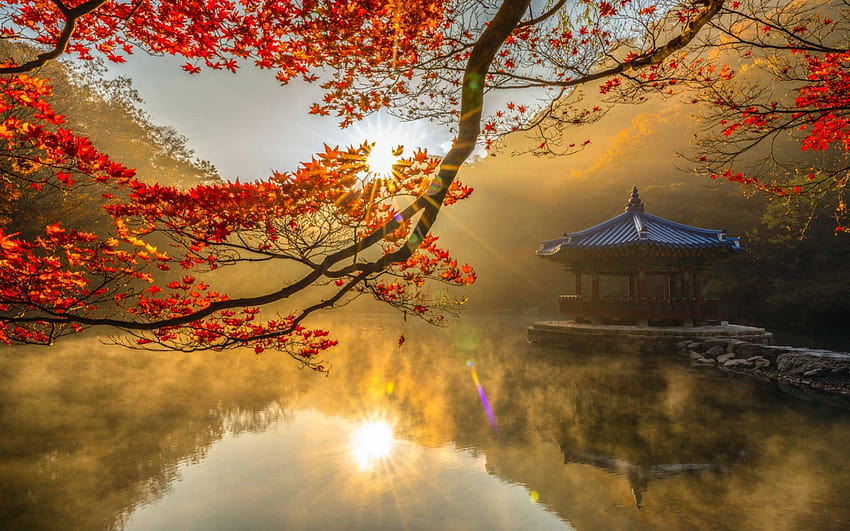 Корейска есен, корейска естетична есен HD тапет