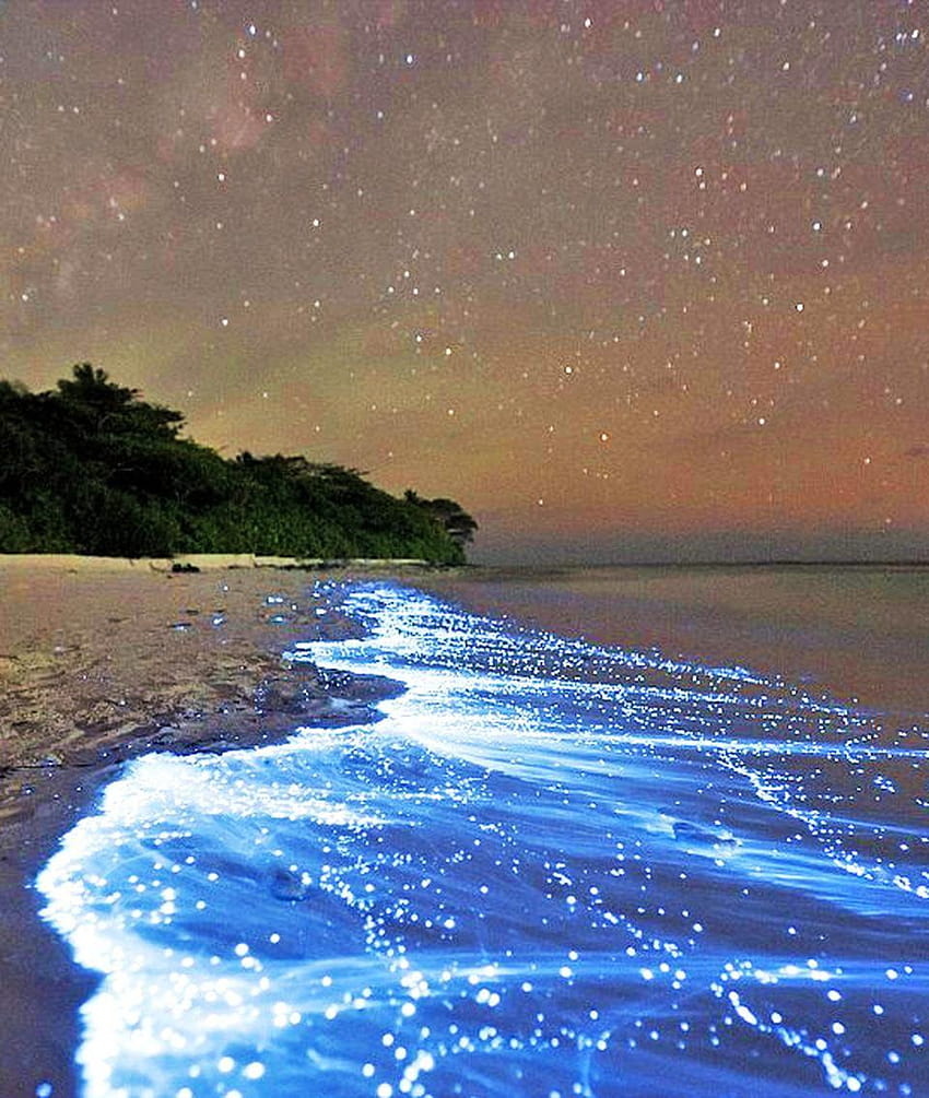 Sea of Stars  Vaadhoo Island Maldives  As night falls on certain beaches  around the world the waves glow with an eerie blue light neon dots that  make it look as