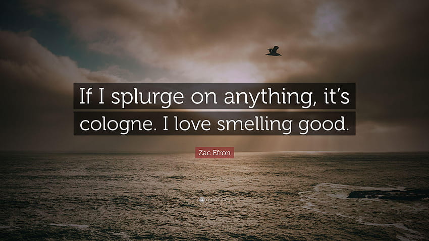 Citation de Zac Efron : Si je fais des folies sur quoi que ce soit, c'est de l'eau de Cologne. J'adore Fond d'écran HD