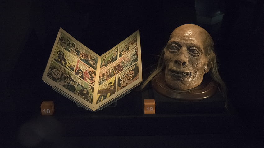 File:UCL reconstruction of Jeremy Bentham's head.jpg HD wallpaper