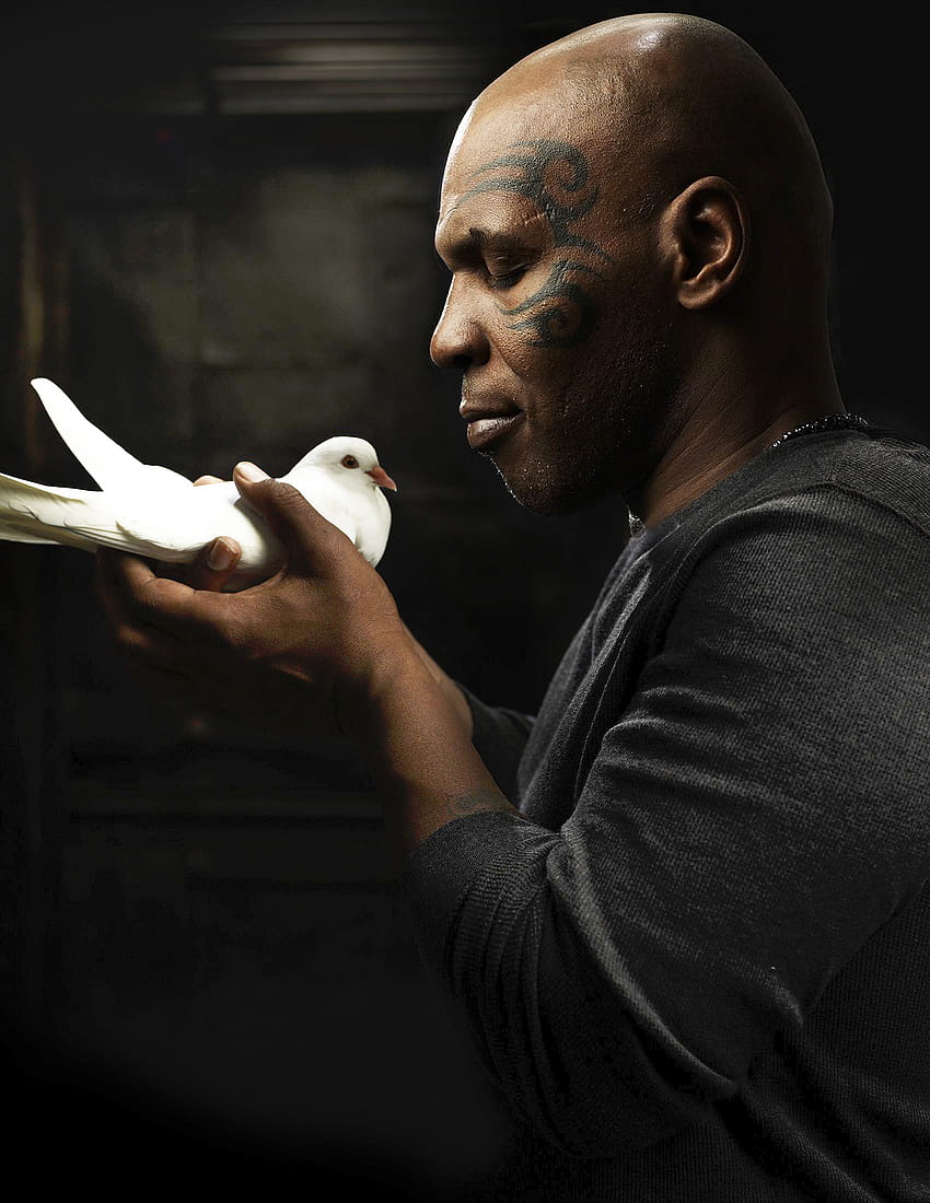 Mike Tyson mengungkapkan dia mencampakkan mantan, mike tyson bird wallpaper ponsel HD