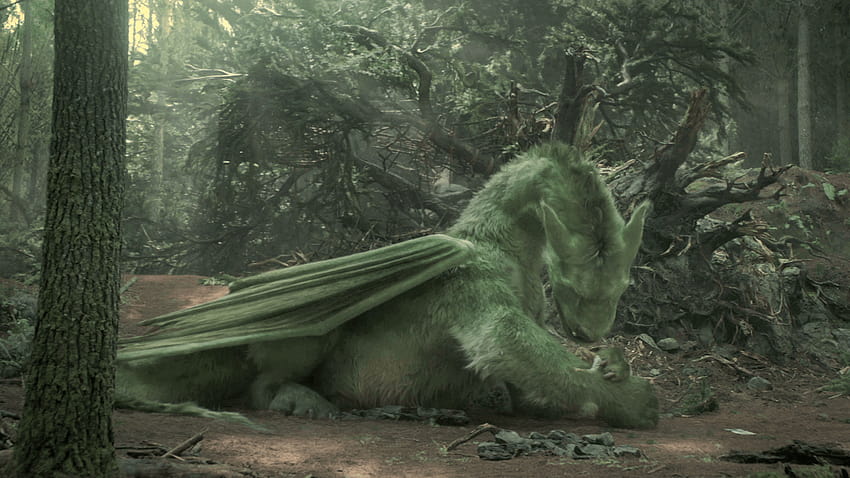 Film Review: They Don't Make 'Em Like Pete's Dragon Anymore – We, petes dragon movie HD wallpaper