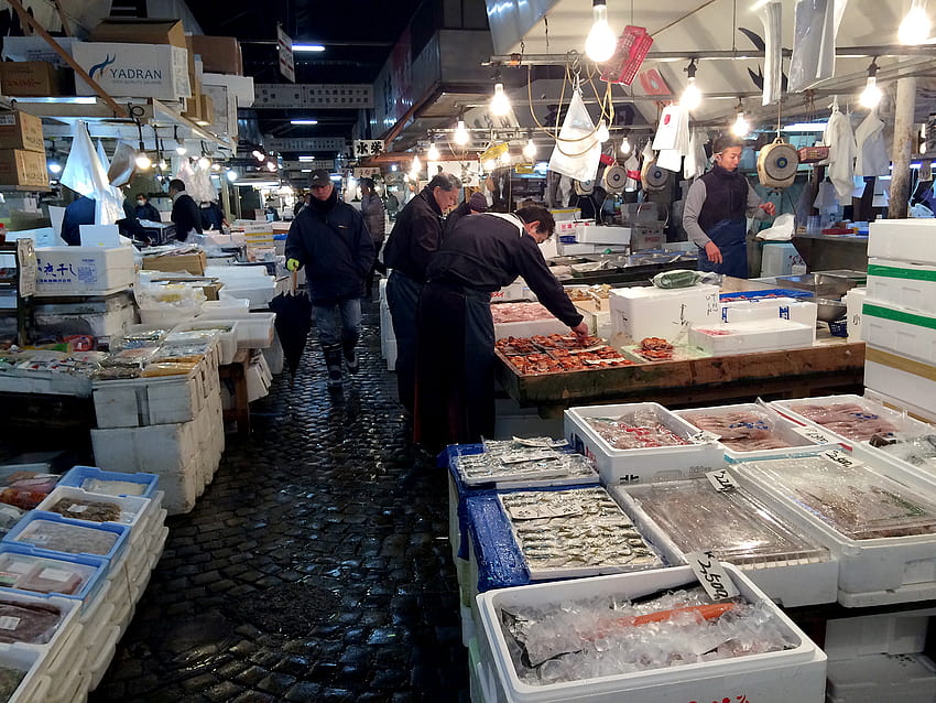 Für Tokios berühmten Fischmarkt ein gefürchteter Tod und eine hoffnungsvolle Wiedergeburt: The Salt: NPR HD-Hintergrundbild