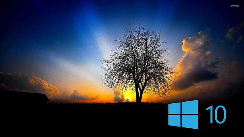 How to Fix Black Desktop Background In Windows 10 - Techbout