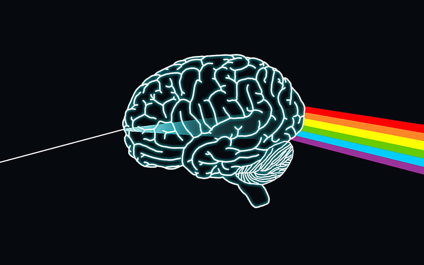 Human Brain Human brain wa [1440x900 HD wallpaper