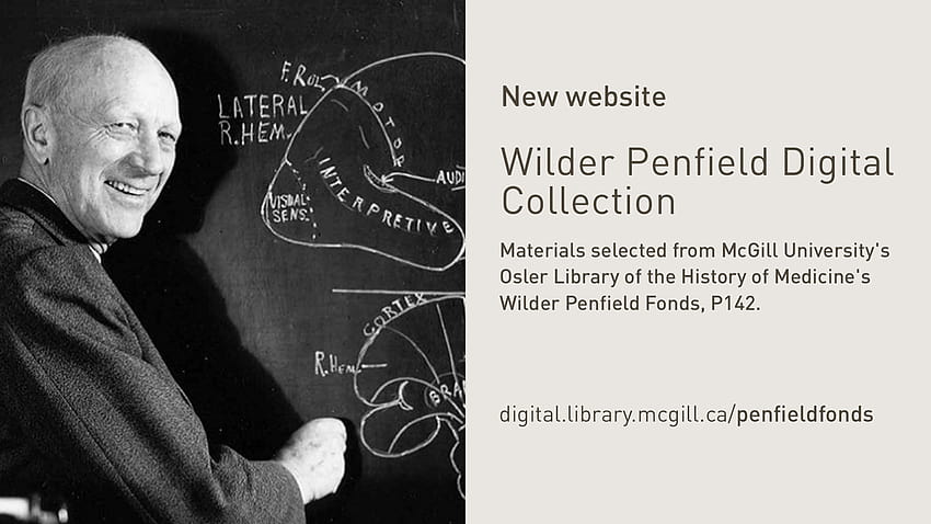 Wilder Penfield Archive HD wallpaper