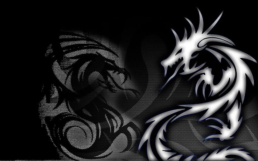 ZIGNIE : Shadow Dragon HD wallpaper | Pxfuel