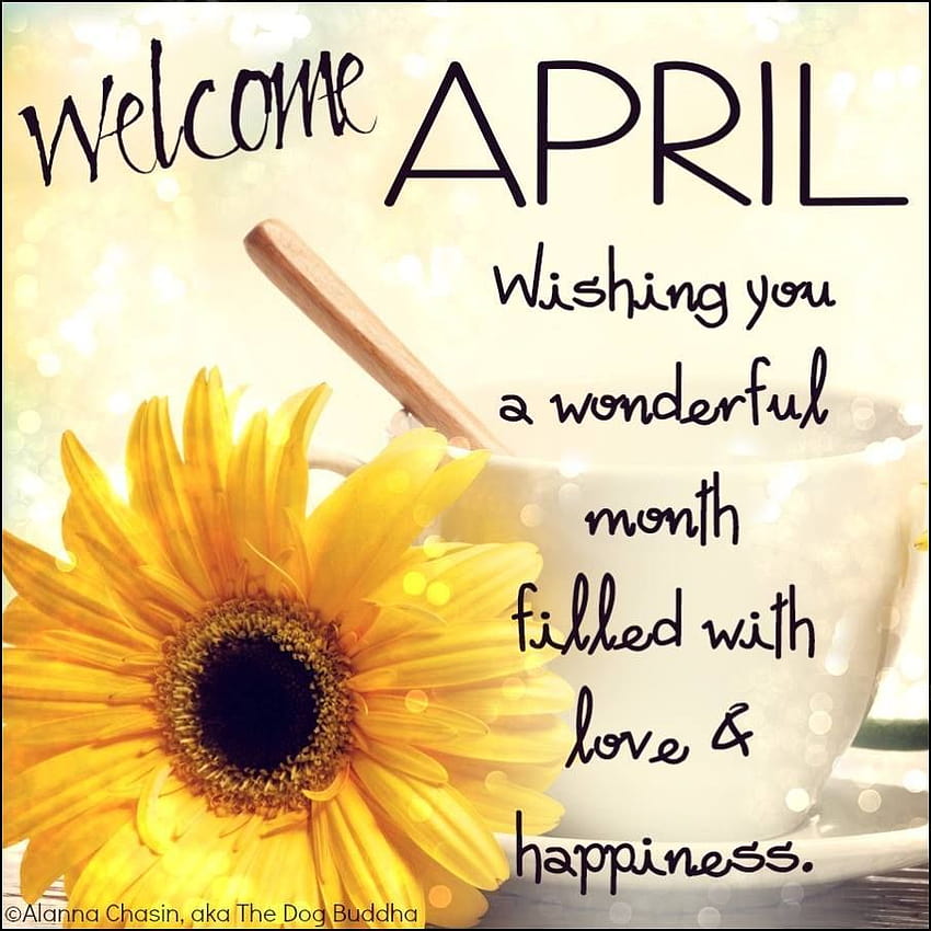 Welcome April! Wishing you a wonderful month filled with love & happiness., happy new month HD phone wallpaper