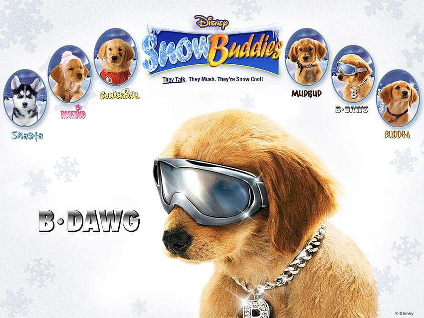 Snow Buddies B Dawg HD Wallpaper | Pxfuel