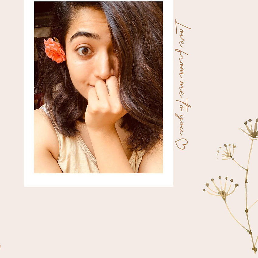 Rashmika Mandanna shared a post on Instagram: “So umm I wanted to write a small note to you guys. I know this is o… HD phone wallpaper