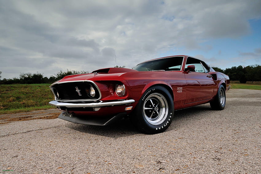 Ford Mustang 1969 Group, 1969 mach 1 mustang HD wallpaper | Pxfuel