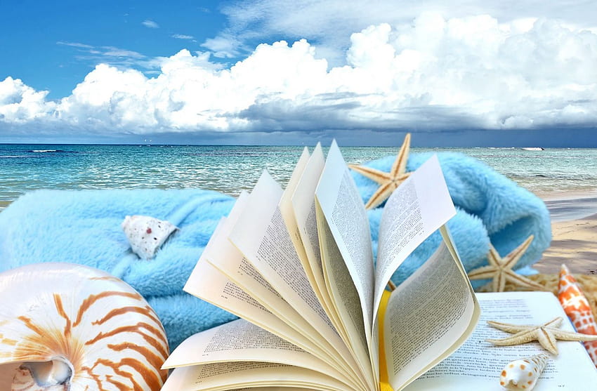 seashells, shells, sky, clouds, summer, nature, Book ::, summer books HD wallpaper