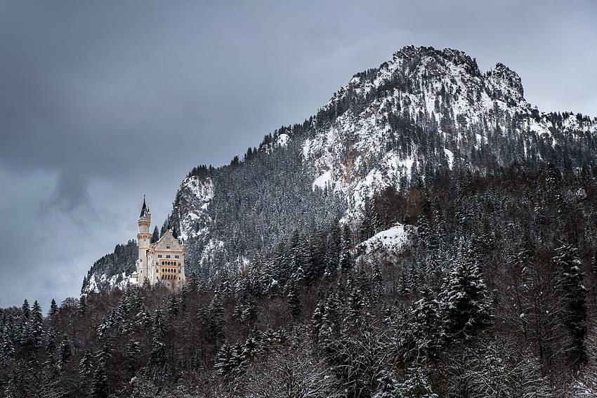 Neuschwanstein, ปราสาท, บาวาเรีย, เยอรมนี, ปราสาท, ภูเขา, ป่า, ฤดูหนาว / และพื้นหลังมือถือ, ฤดูหนาวบาวาเรีย วอลล์เปเปอร์ HD