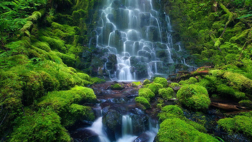 Amazon Rainforest Waterfall , Instagram HD wallpaper