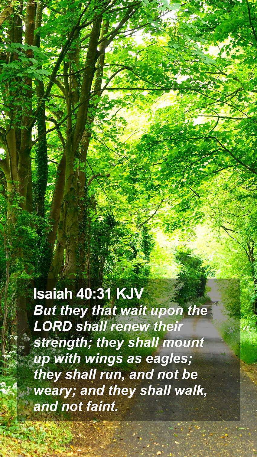 Bible Verse Lock Screen Isaiah 4031