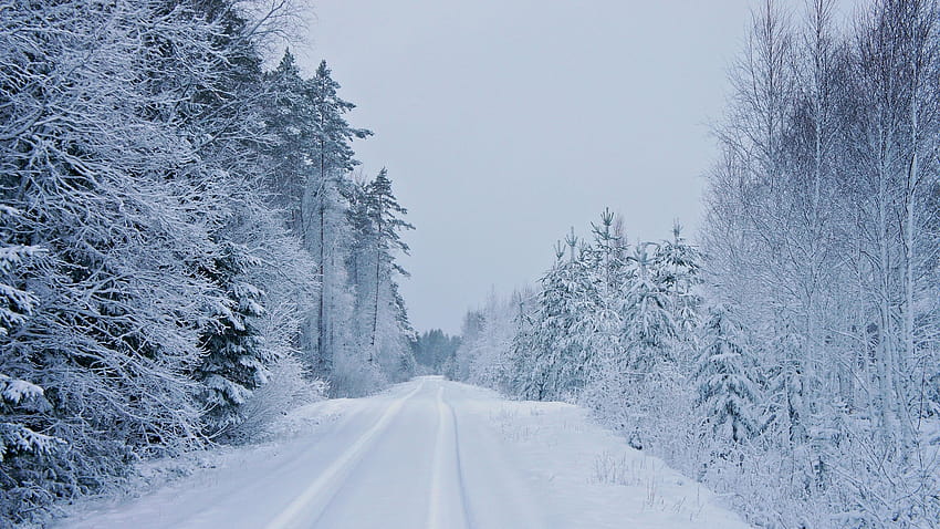 Harsh Winter Road, winter highway HD wallpaper
