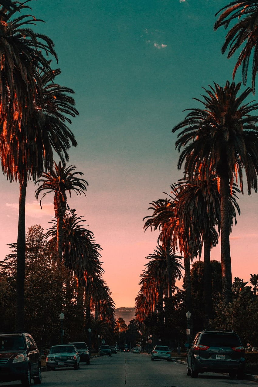 10 Los Angeles, aesthetic summer trips HD phone wallpaper