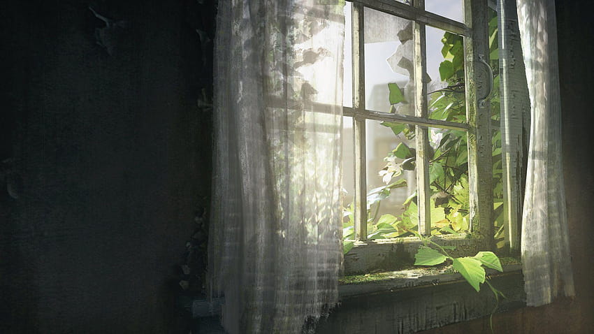 The Last of Us: Remastered] [Screenshot] Menu Screen, tlou HD wallpaper