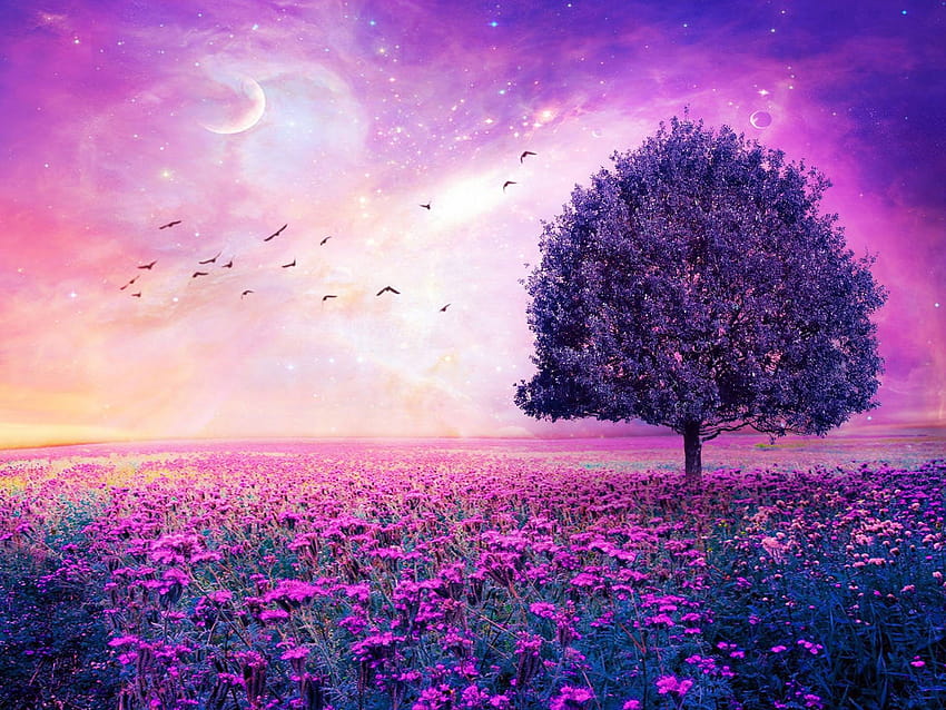 Árbol de arte de campo de flores púrpura fondo de pantalla | Pxfuel