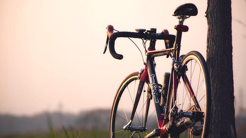 graphy Bicycle HD wallpaper
