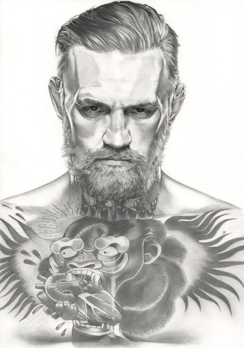 2 UFC Conor McGregor, connor mcgregor HD phone wallpaper