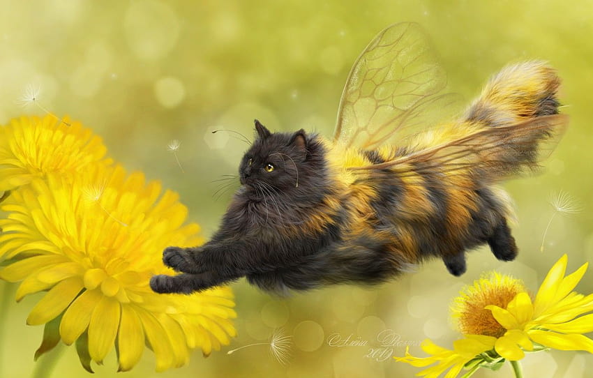 cat, flowers, background, art, dandelions, wings, fluffy, kittens and bees HD wallpaper